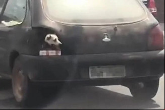Foto: Reprodução/ TikTok