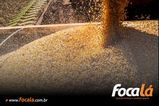 Agro goiano é destaque em ranking do governo federal